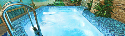 V.I.P. ���� �������